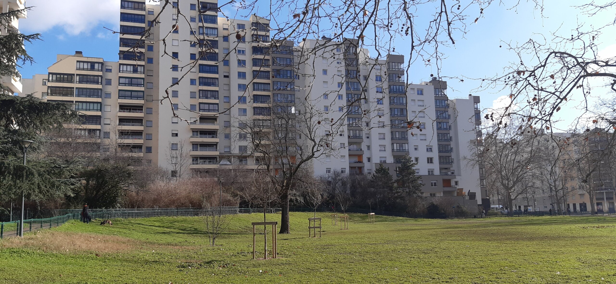 La pelouse du parc de l'Europe, au Tonkin, un quartier de Villeurbanne où le trafic de drogue a élu domicile.