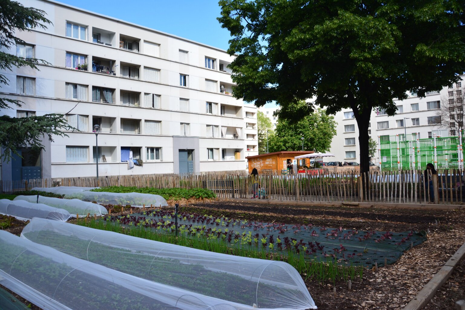 La nouvelle politique agricole de la Métropole de Lyon  le changement