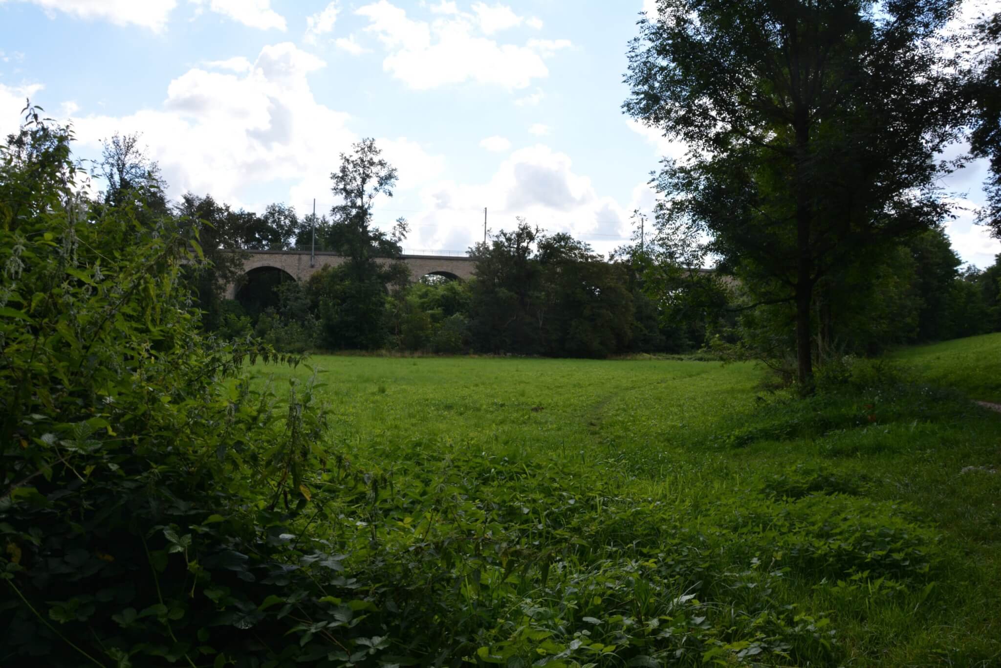 Le champ où sera installé le barrage de Francheville.