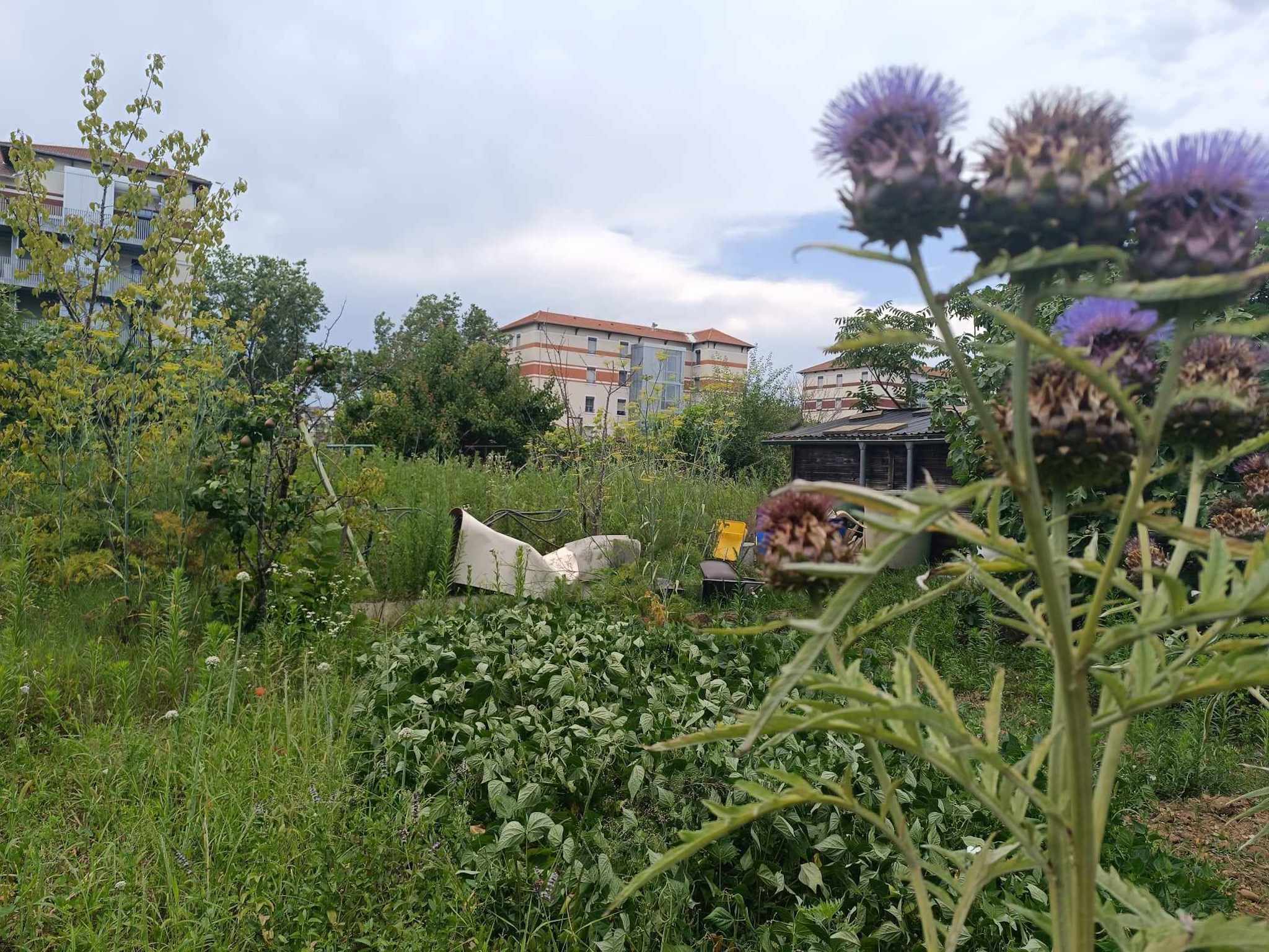 Un des immeubles de la Grande cité Tase, rénové comme la façade d’origine, avec l’ajout d’ascenseurs. Au premier plan, les jardins des locataires des immeubles, créés dès l’origine. ©Marie Albessard/Rue89Lyon