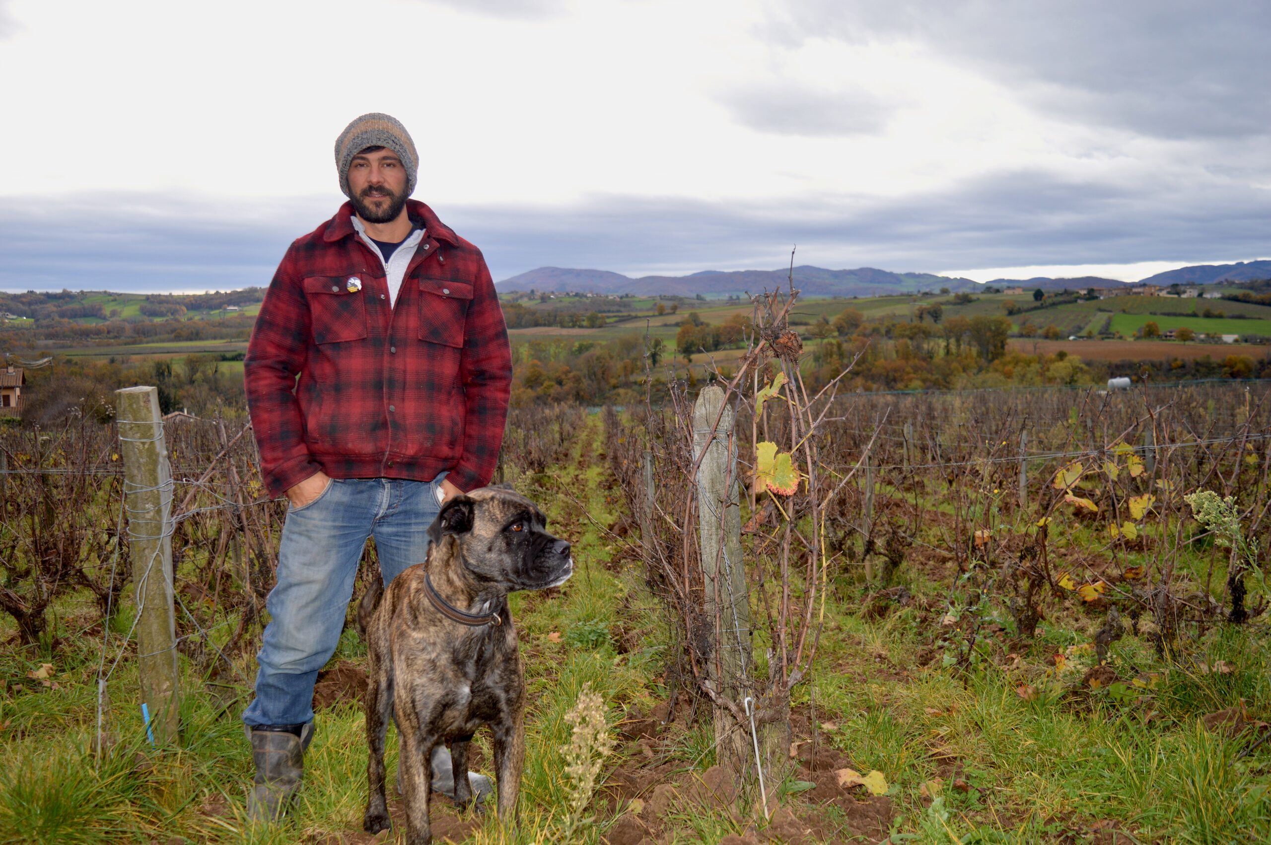 vin bio Beaujolais